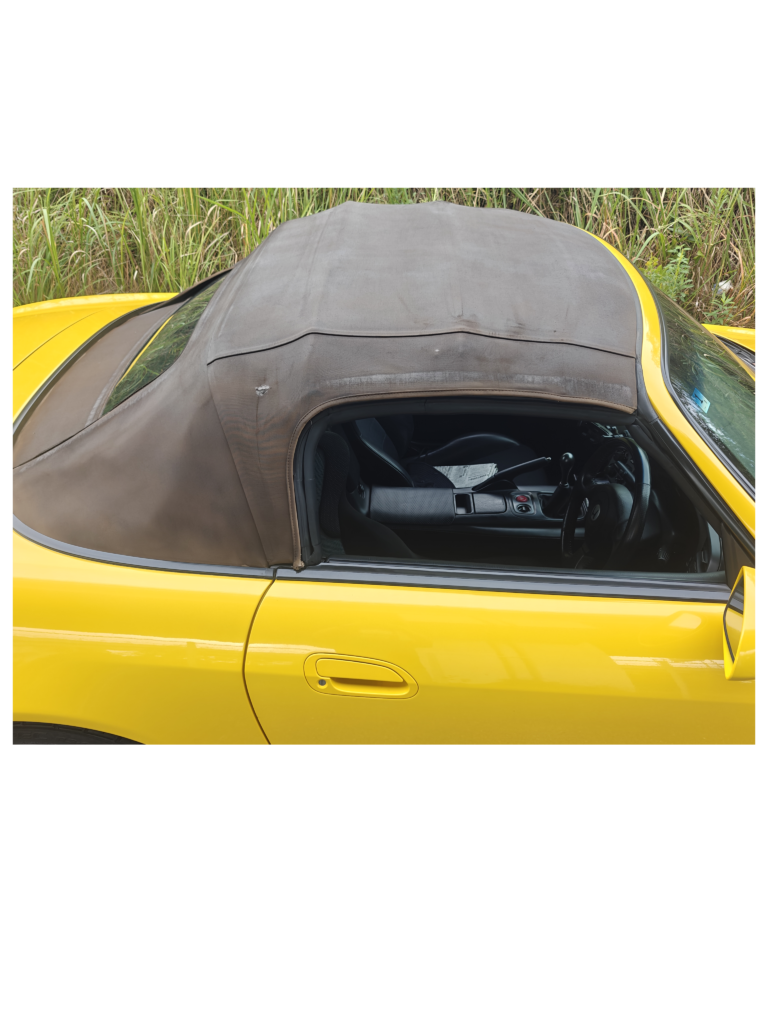 染めQ4本目終了